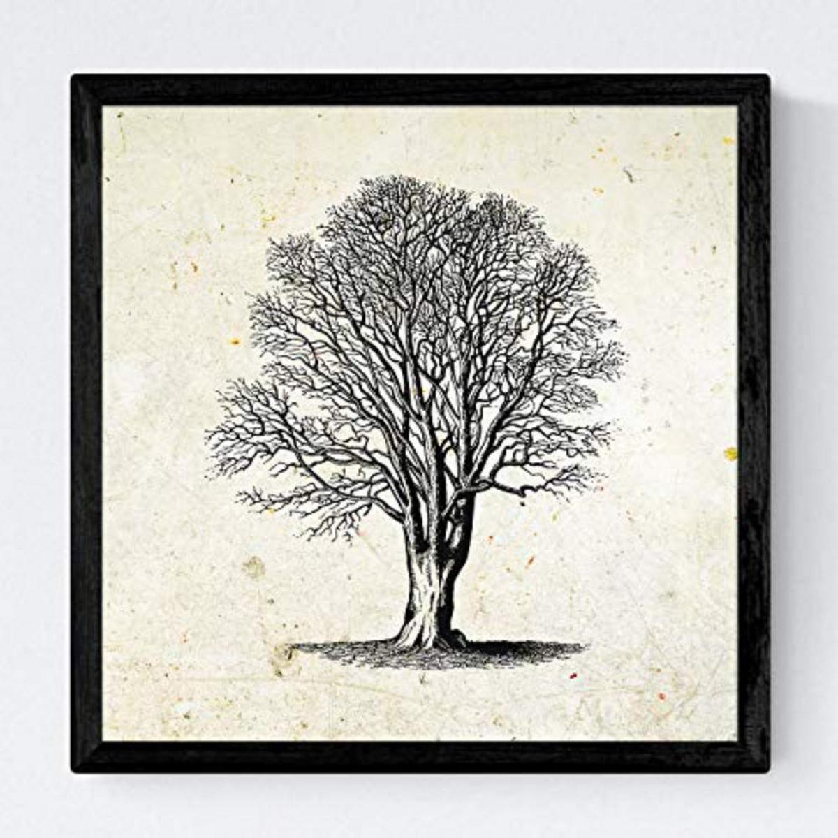 POSTER Set mit 4 Blättern der Bäume ohne und mit Blatt, 20x20cm Schwarzer Rahmen - Schwarz, Papier (20/3cm) - Nacnic