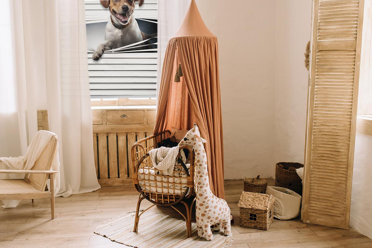 INNENROLLO - Fensterrollo - Rollo - 70x140 cm - Hund - Grau, Kunststoff (70/140/0.5cm) - TULUP