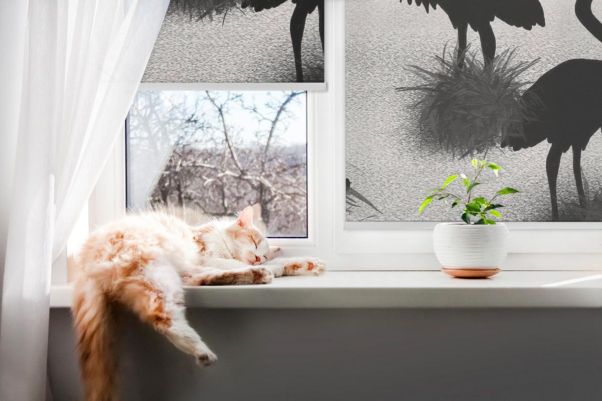 INNENROLLO - Fensterrollo - Rollo - 150x140 cm - Reiher - Grau, Kunststoff (150/140/0.5cm) - TULUP