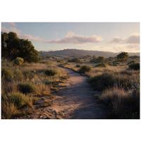 FOTOTAPETE Landschaft Natur Braun 400x280 cm - Multicolor, Papier (400/280cm) - Wallarena
