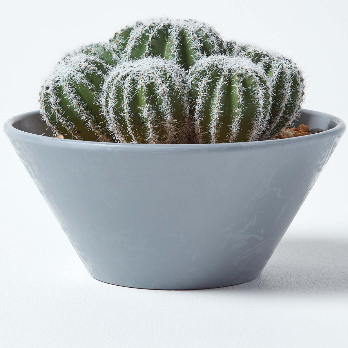 KUNSTPFLANZEN Kakteen-Arrangement im Deko-Topf, 17 cm - Grün, Kunststoff (17cm) - Homescapes