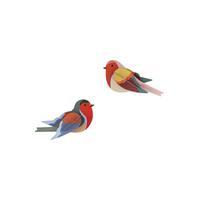 WANDDEKO Rotkehlchen-Duo 4/7 cm - Multicolor, Wellpappe (4/7/15cm) - Studio Roof