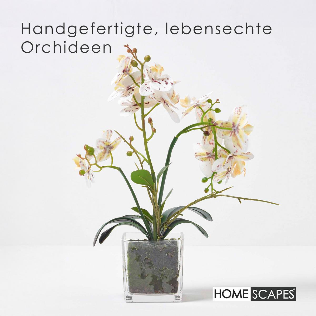 KUNSTBLUME Orchidee weiß-pink im Glas-Topf, 42 cm - Weiß, Kunststoff (42cm) - Homescapes
