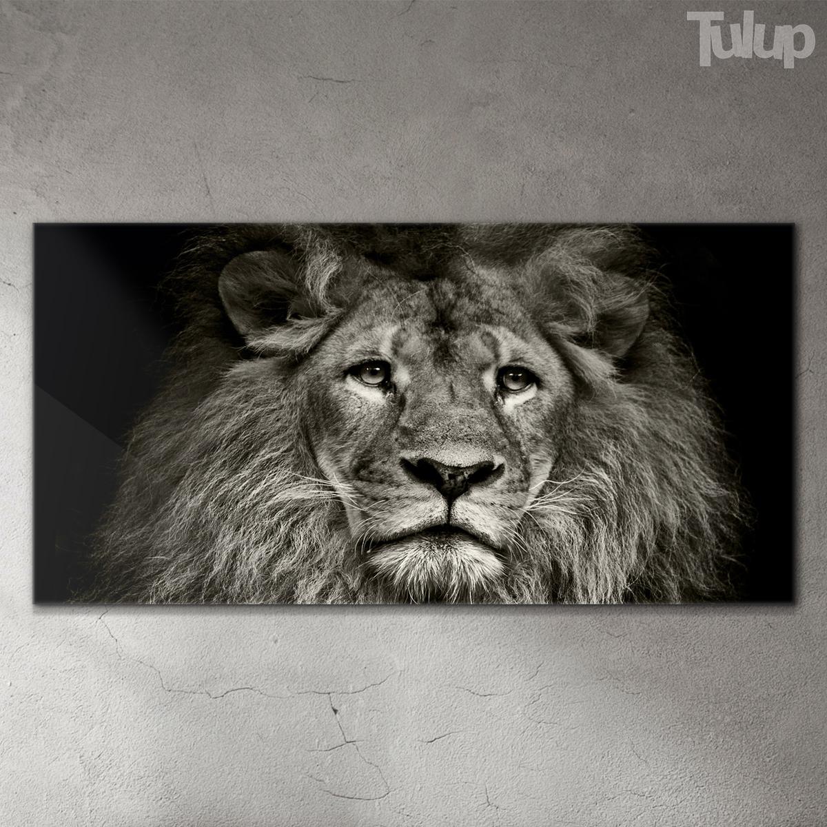 GLASBILD 140x70 cm Löwe Tier - Schwarz, Glas (140/70cm) - TULUP
