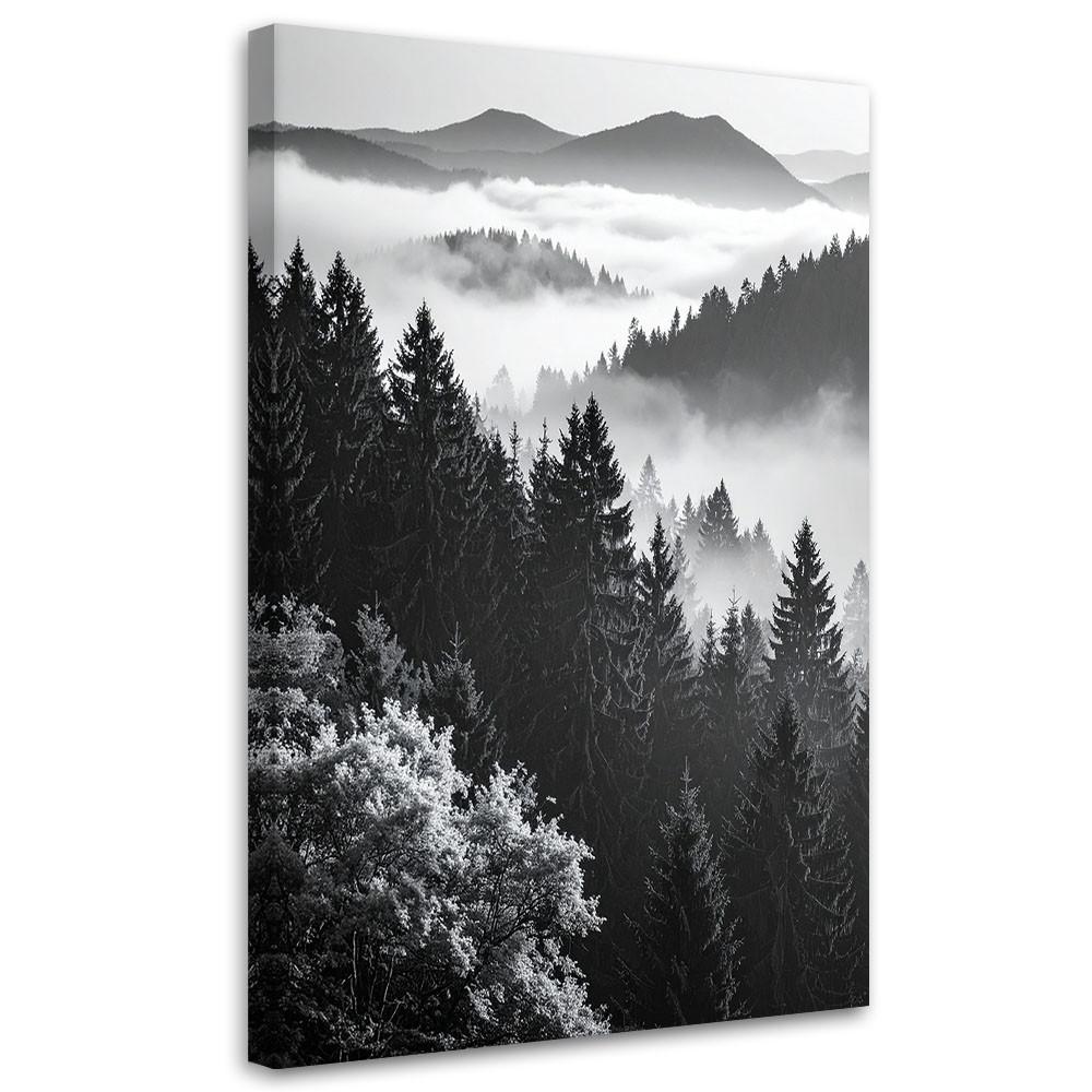 LEINWANDBILD Schwarz-weiße Berglandschaft 70x100cm - Schwarz, Textil (70/100cm) - Feeby