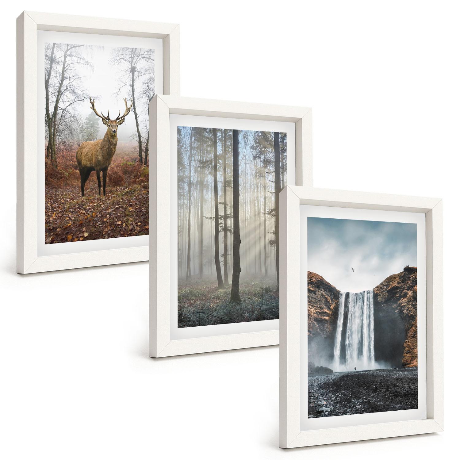 BILDER SET 3er Set - 20x30 cm Weißer Rahmen - Waldlandschaften, wilde Natur - Weiß, Kunststoff (20/30cm) - TULUP