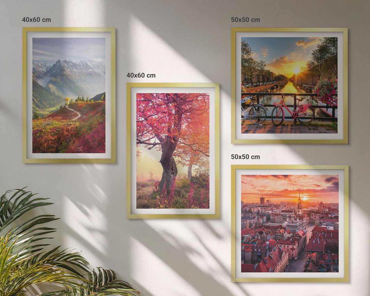 BILDER SET 4er Set - 50x50 cm & 40x60 cm Goldrahmen - Berglandschaften mit dem Fahrrad - Goldfarben, Kunststoff (50/50cm) - TULUP