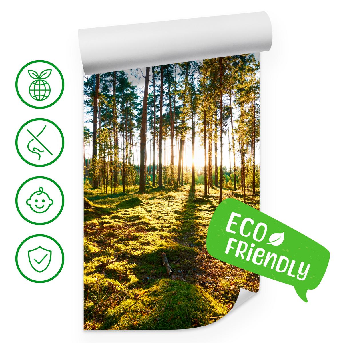 FOTOTAPETE für Küche Sonnenaufgang WALD Moss Bäume Sonnenstrahl 150x105 - Gelb/Braun, Papier (150/105cm) - Muralo