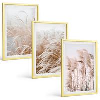 BILDER SET 3er Set - 40x60 cm Goldrahmen - Grasflächen in Braun- und Beigetönen - Goldfarben, Kunststoff (40/60cm) - TULUP