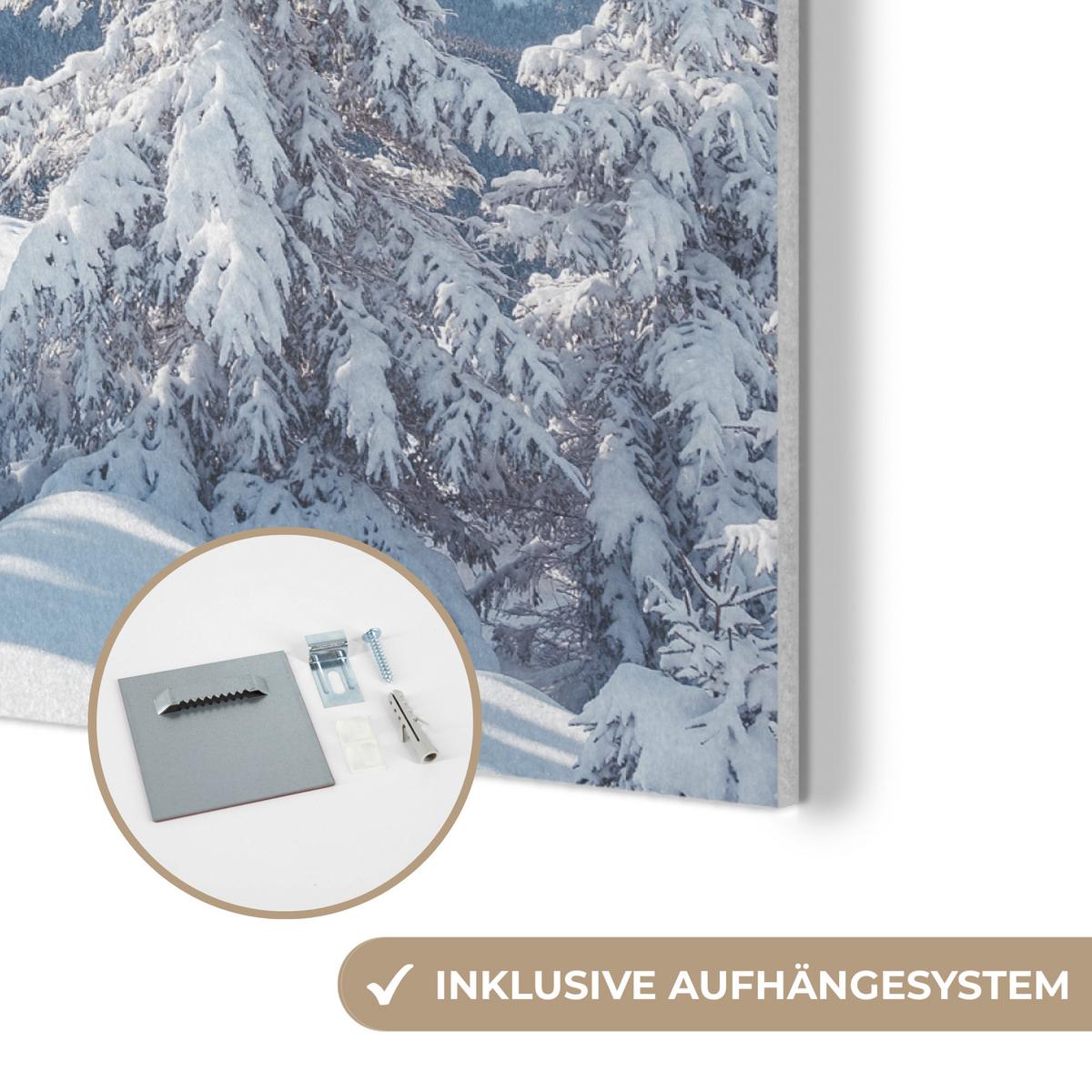 AKUSTIKBILD Winterlandschaft - Natur - Berge - Bäume - Schnee Wanddeko 70x50 cm - Hellblau, Kunststoff (70/50/0.9cm) - MuchoWow
