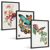 BILDER SET 3er Set - 40x60 cm Schwarzer Rahmen - Blumen, Schmetterlinge, Vögel, Pastellfarben - Schwarz, Kunststoff (40/60cm) - TULUP