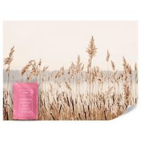 FOTOTAPETE für Wohnzimmer Pflanzen Natur 450x315 - Beige/Braun, Papier (450/315cm) - Muralo