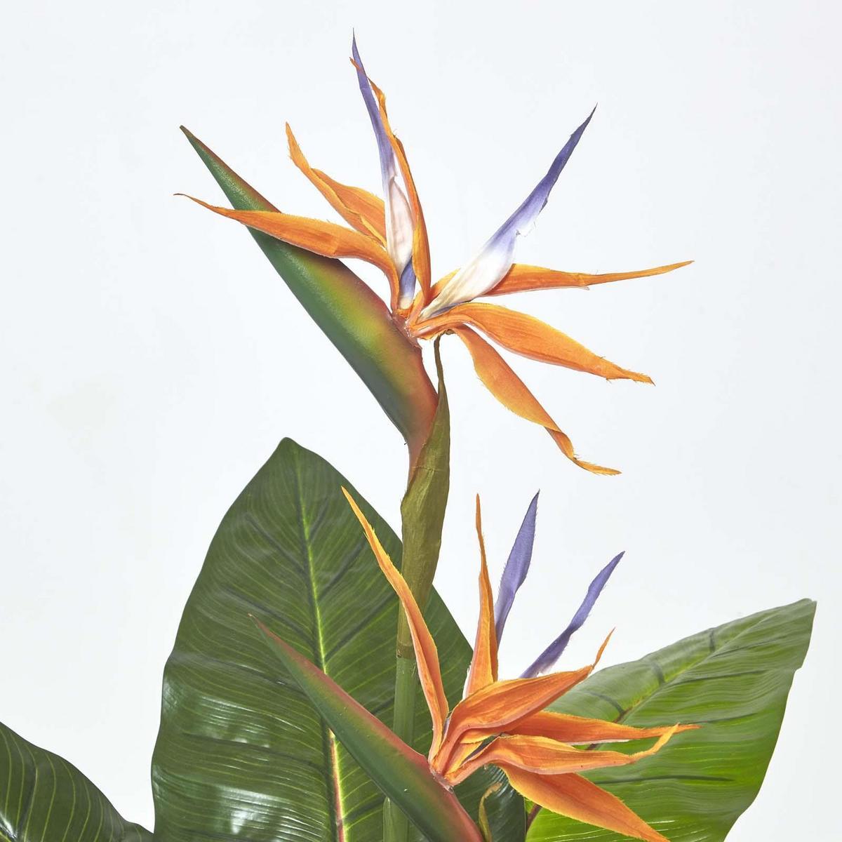 KUNSTPFLANZE Paradiesvogelblume, 120 cm - Orange, Kunststoff (120cm) - Homescapes