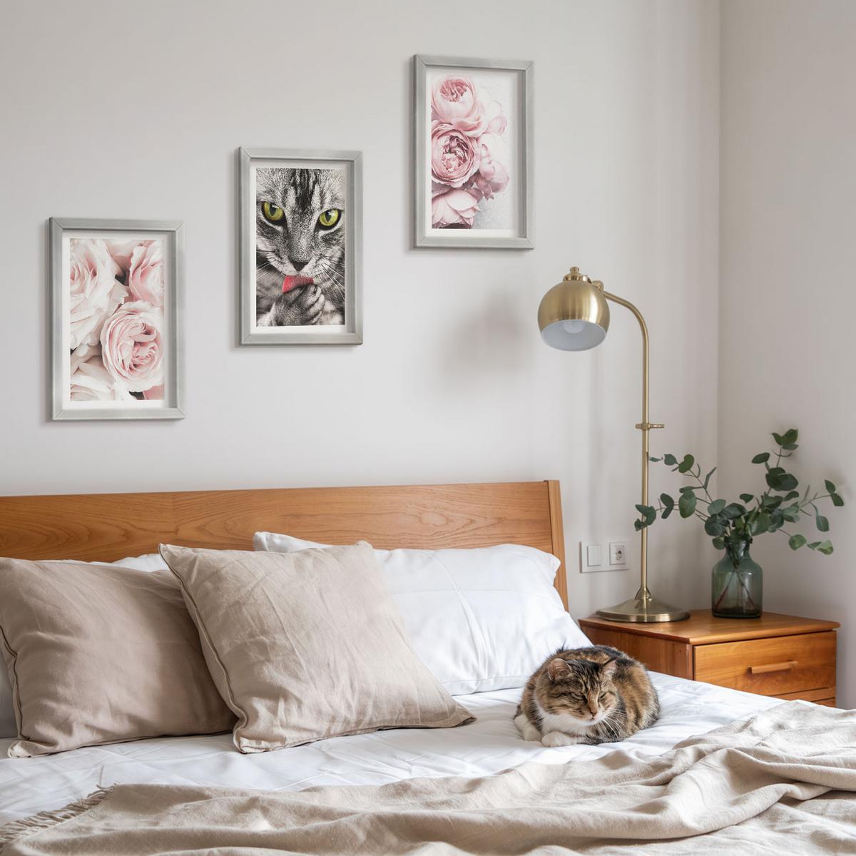 BILDER SET 3er Set - 20x30 cm Silberner Rahmen - Katze in rosa Blumen - Silberfarben, Kunststoff (20/30cm) - TULUP