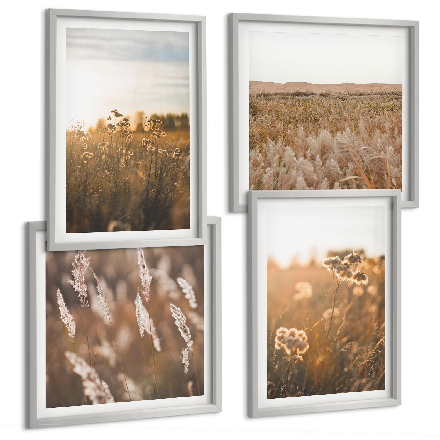 BILDER SET 4er Set - 50x50 cm & 40x60 cm Silberner Rahmen - Sommerwiesenblumen Sonnenuntergang - Silberfarben, Kunststoff (50/50cm) - TULUP