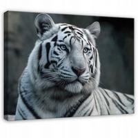 LEINWANDBILD Tiger Tiere Weiß 120x80 cm - Multicolor, Holzwerkstoff (120/80cm) - Wallarena