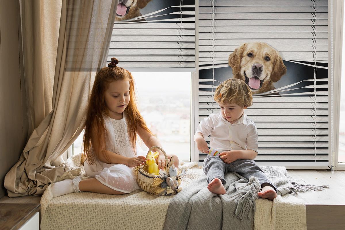 INNENROLLO - Fensterrollo - Rollo - 100x140 cm - Goldener Hund - Grau, Kunststoff (100/140/0.5cm) - TULUP