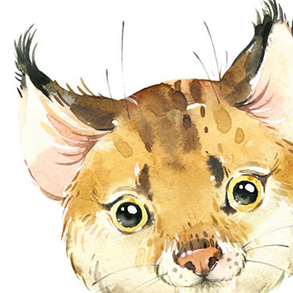 POSTER Set mit 4 Waschbär Fuchs Esel und Leopard A3 Rahmenlos - Klar, Papier (29.7/3cm) - Nacnic