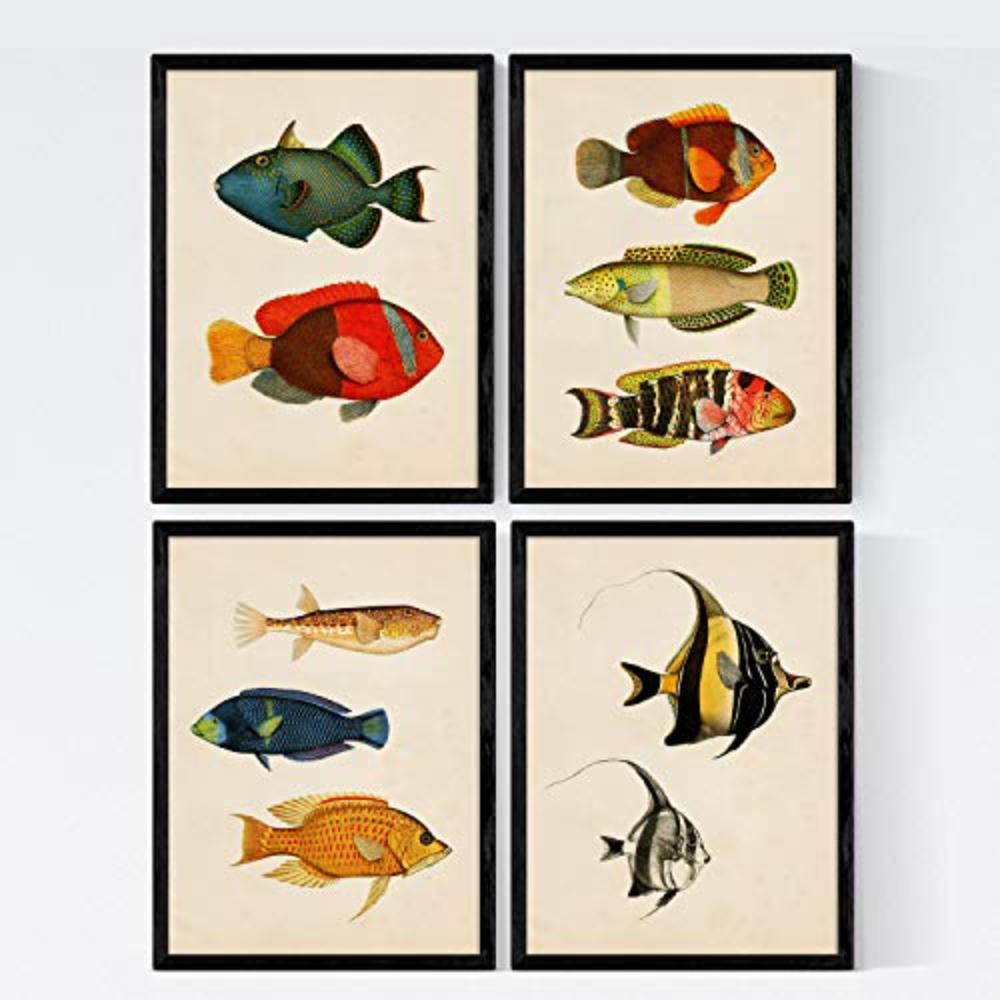 POSTER Set mit 4 Balearen 10 verschiedenen Fischen A3 Rahmenlos - Klar, Papier (29.7/3cm) - Nacnic