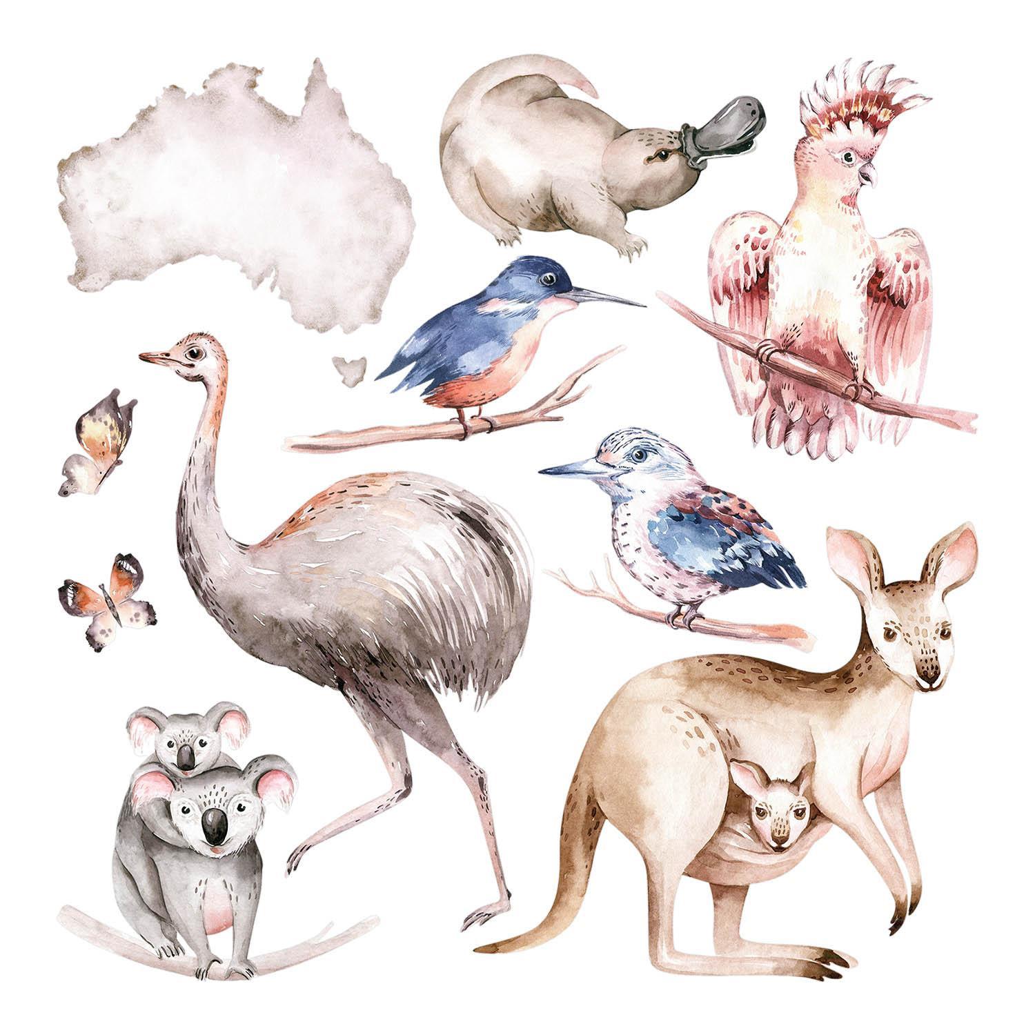 WANDAUFKLEBER 60x76cm - Tiere Australiens - Multicolor, Kunststoff (60/76/0.1cm) - Wallfluent