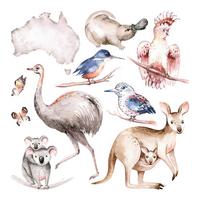 WANDAUFKLEBER 60x76cm - Tiere Australiens - Multicolor, Kunststoff (60/76/0.1cm) - Wallfluent