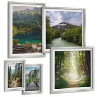 BILDER SET 5er Set - 50x50 cm & 20x30 cm & 40x60 cm Silberner Rahmen - Straße Wald Berge Hirsch Natur - Silberfarben, Kunststoff (40/60cm) - TULUP
