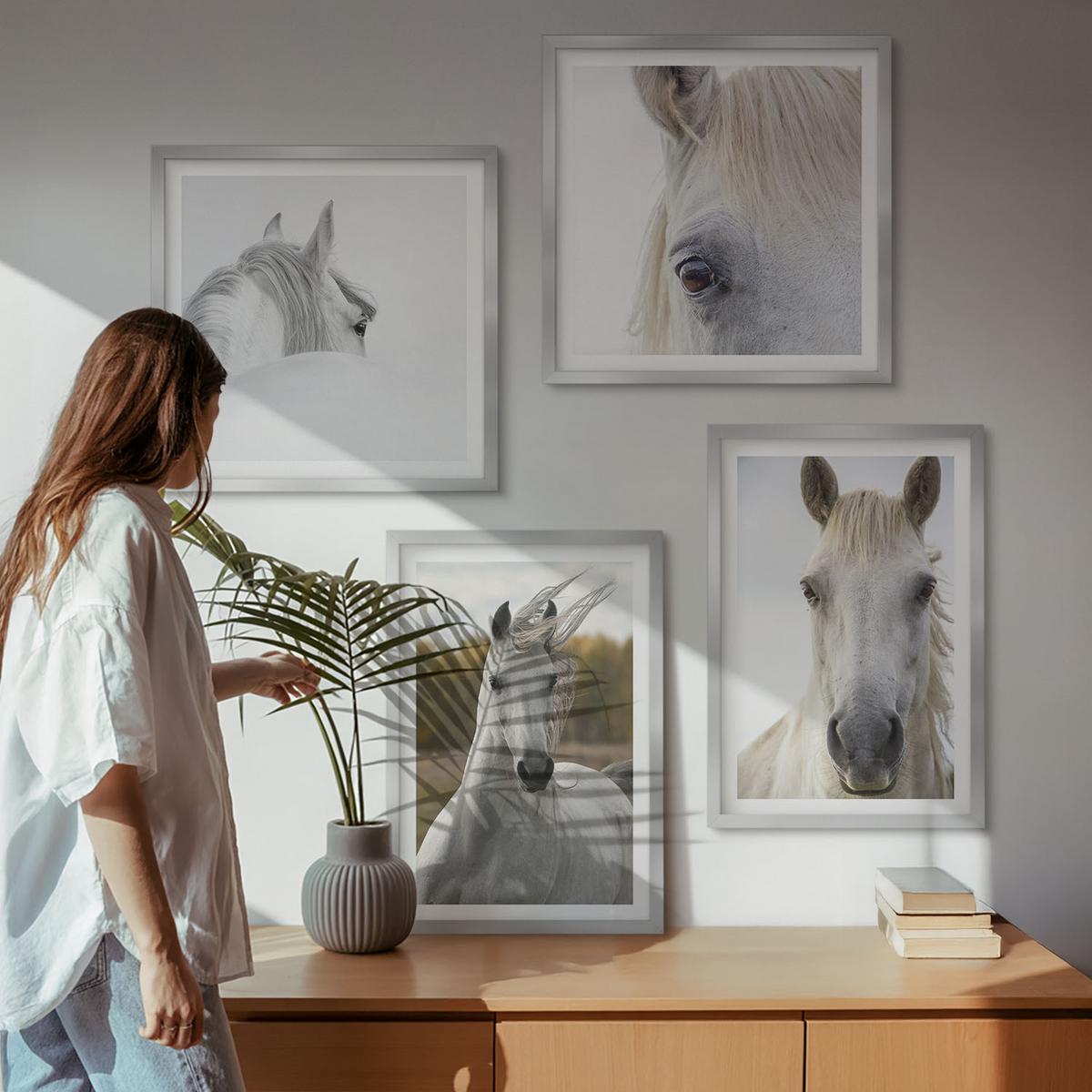 BILDER SET 4er Set - 50x50 cm & 40x60 cm Silberner Rahmen - Weiße Pferde - Silberfarben, Kunststoff (50/50cm) - TULUP