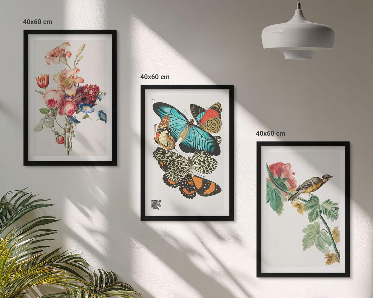 BILDER SET 3er Set - 40x60 cm Schwarzer Rahmen - Blumen, Schmetterlinge, Vögel, Pastellfarben - Schwarz, Kunststoff (40/60cm) - TULUP