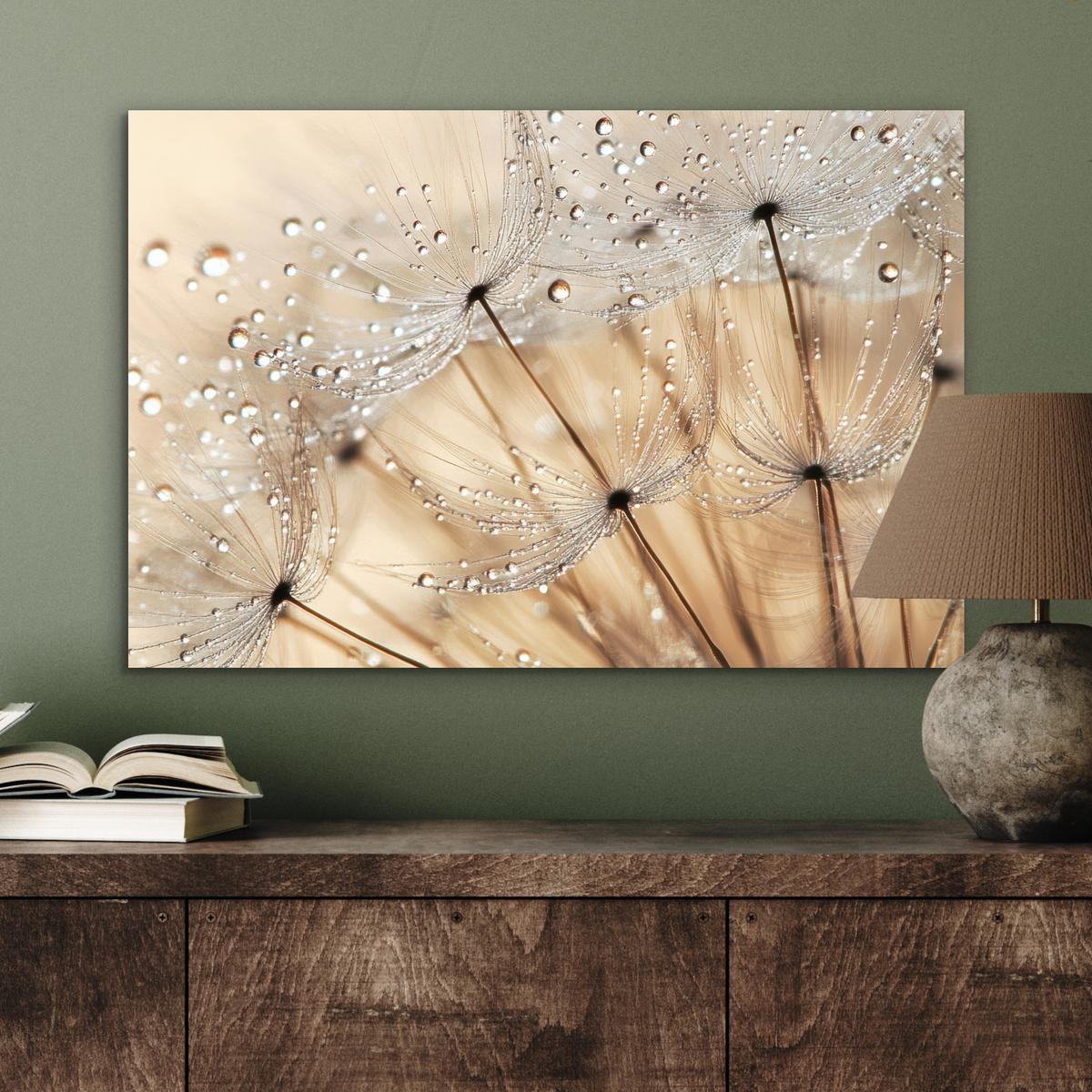 METALLBILD Löwenzahn - Abstrakt - Natur - Beige Wandbild 60x40 cm - Braun, Metall (60/40cm) - MuchoWow