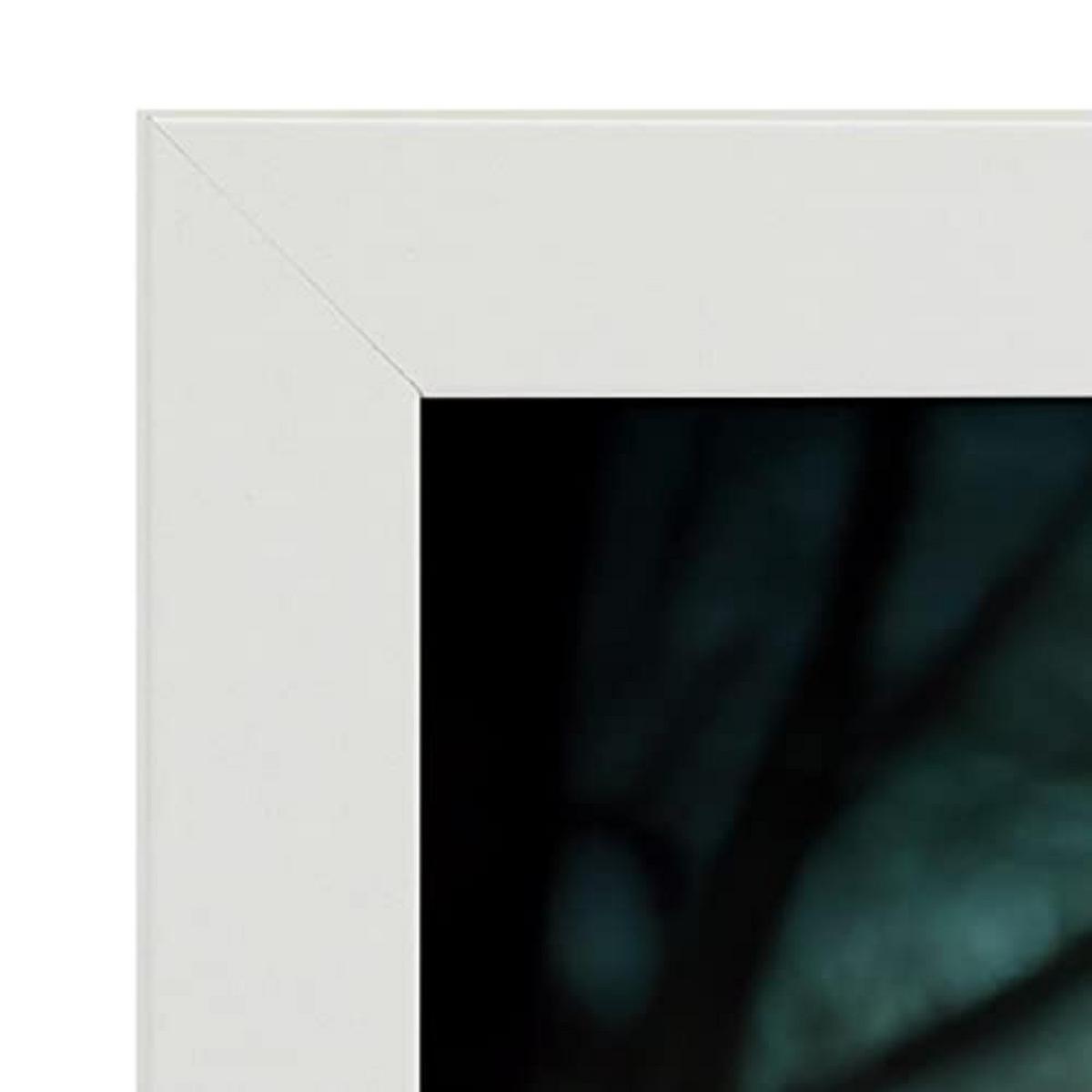 POSTER Set mit 4 Hunde im T Burton Goth Stil A3 Weißer Rahmen - Weiß, Papier (29.7/3cm) - Nacnic