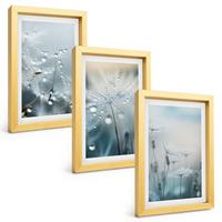 BILDER SET 3er Set - 20x30 cm Goldrahmen - Tautropfen auf Löwenzahn - Goldfarben, Kunststoff (20/30cm) - TULUP