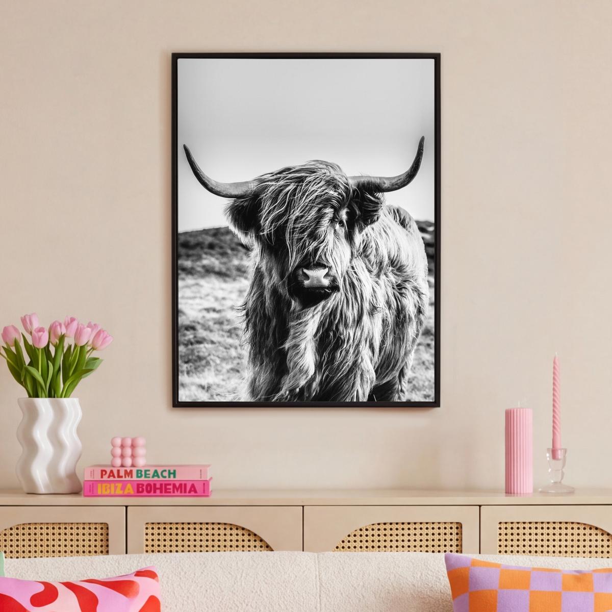 LEINWAND Bilder mit Rahmen - Kuh - Schottischer Hochländer - Schwarz - Weiß - Tier - Natur - Wildtiere - 70x100 - Schwarz, Textil (70/100cm) - MuchoWow