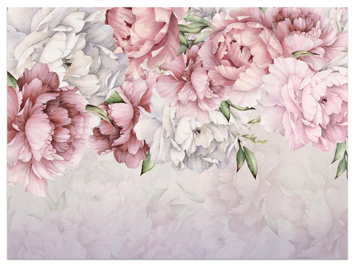 FOTOTAPETE für Schlafzimmer Rosa Zarte Pfingstrosen Natur 300x210 - Violett/Rosa, Papier (300/210cm) - Muralo