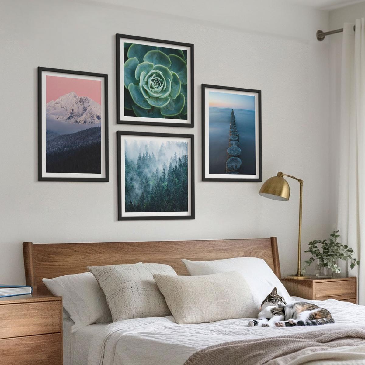BILDER SET 4er Set - 50x50 cm & 40x60 cm Schwarzer Rahmen - Berge, rosa Himmel, Wasser, Sukkulente - Schwarz, Kunststoff (50/50cm) - TULUP