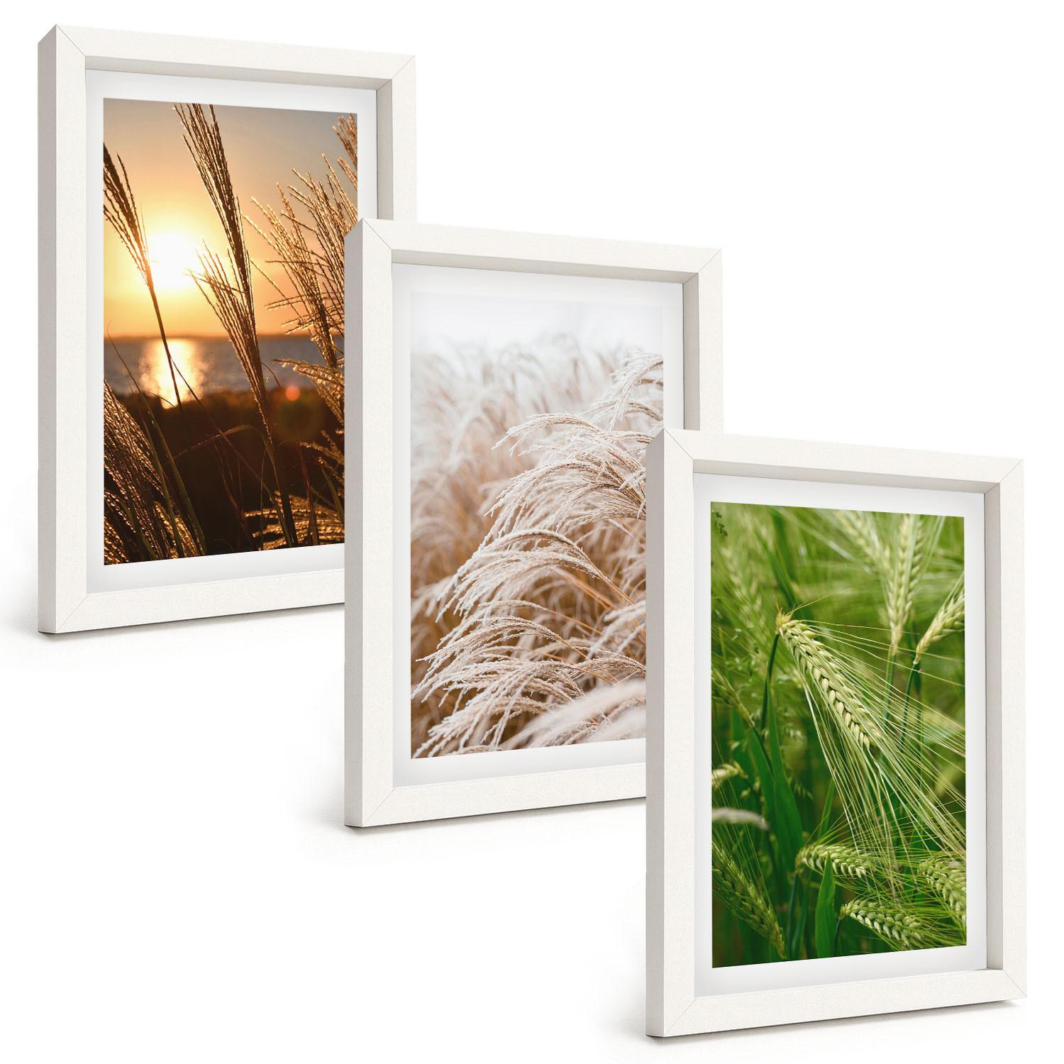 BILDER SET 3er Set - 20x30 cm Weißer Rahmen - Gräser farbenfrohe Natur - Weiß, Kunststoff (20/30cm) - TULUP