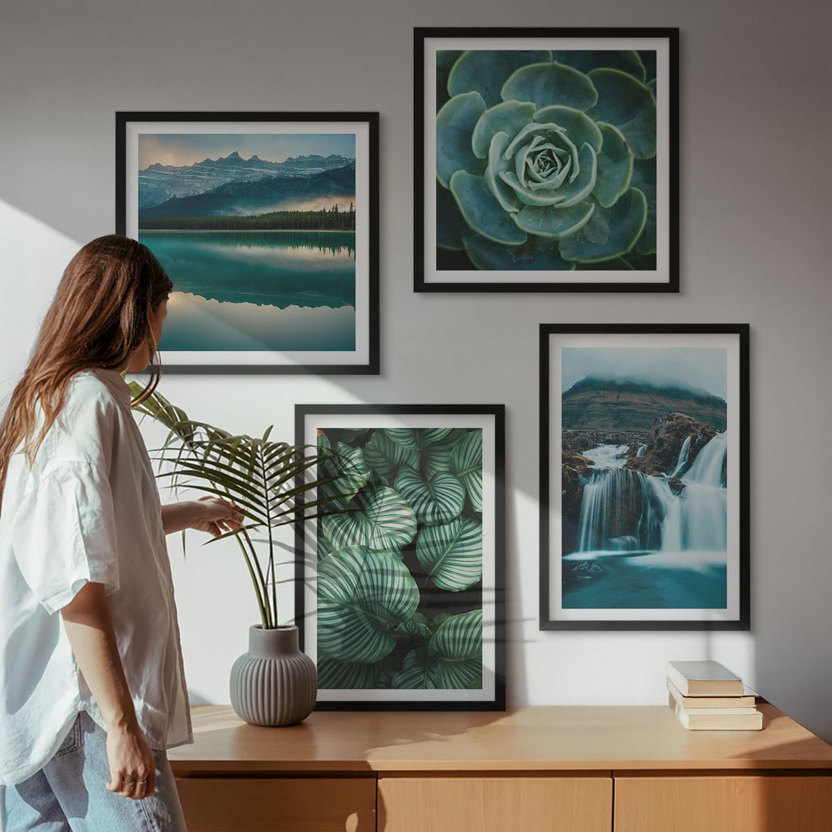 BILDER SET 4er Set - 50x50 cm & 40x60 cm Schwarzer Rahmen - Nahaufnahmen von Blättern sukkulenter Pflanzen - Schwarz, Kunststoff (50/50cm) - TULUP