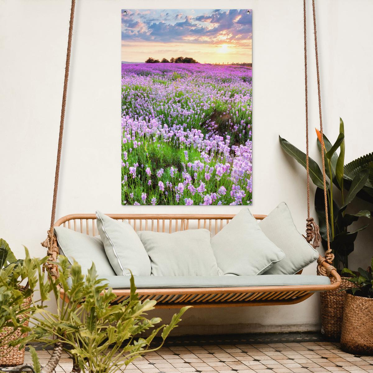 GARTENPOSTER Blumen - Lavendel - Lila - Himmel - Sonnenuntergang - Wiese - Natur Outdoor Bilder 80x120 cm - Flieder, Kunststoff (80/120/0.2cm) - OnlyWow