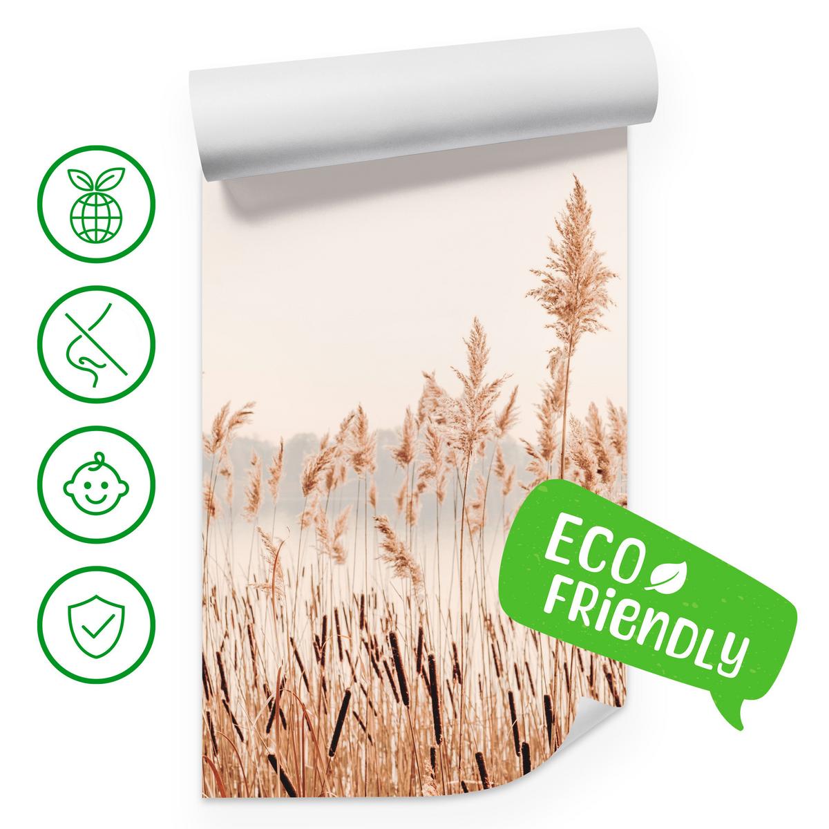 FOTOTAPETE für Wohnzimmer Pflanzen Natur 450x315 - Beige/Braun, Papier (450/315cm) - Muralo