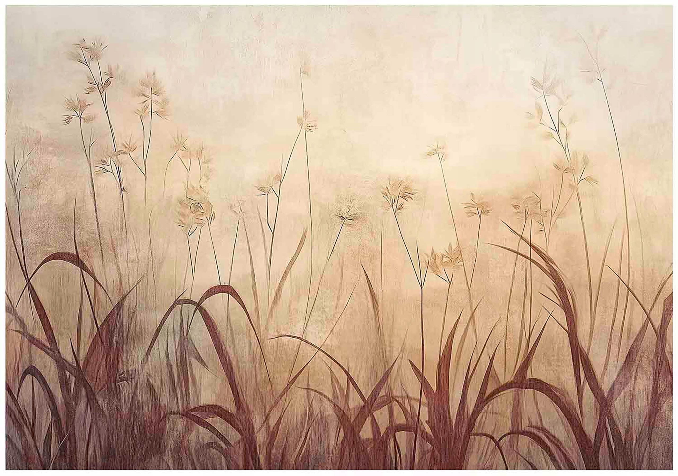 FOTOTAPETE Gras Boho Wohnzimmer 250x175 - Multicolor, Papier (250/175cm) - Wallarena