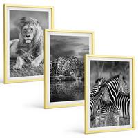 BILDER SET 3er Set - 40x60 cm Goldrahmen - Wildtiere der Savanne - Goldfarben, Kunststoff (40/60cm) - TULUP