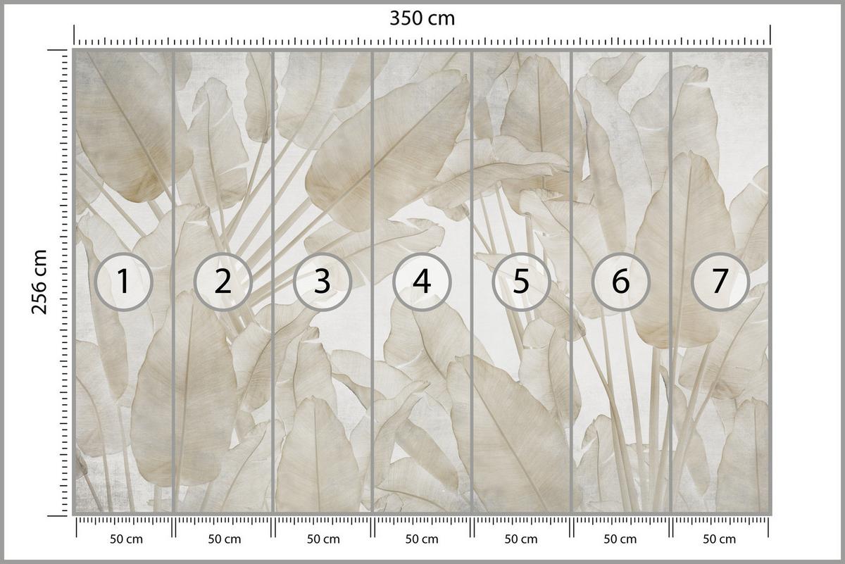 FOTOTAPETE Beige Bananenblätter Tropische Pflanzen 350x256 - Beige/Braun, Papier (350/256cm) - Muralo