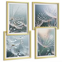 BILDER SET 4er Set - 50x50 cm & 40x60 cm Goldrahmen - Wassertropfen auf Löwenzahnsprossen - Goldfarben, Kunststoff (50/50cm) - TULUP