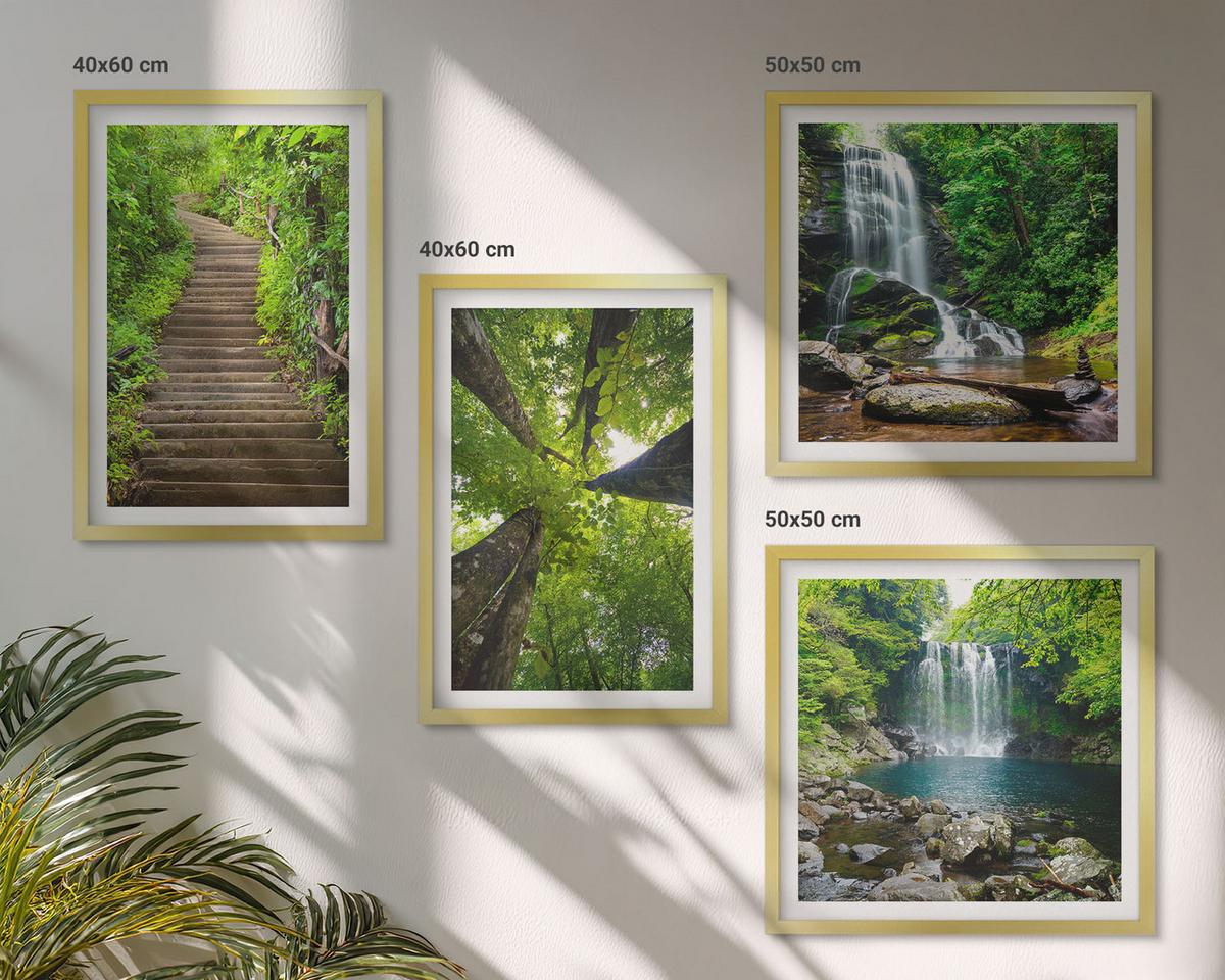 BILDER SET 4er Set - 50x50 cm & 40x60 cm Goldrahmen - Pfad Wald Wasserfall Vegetation - Goldfarben, Kunststoff (50/50cm) - TULUP