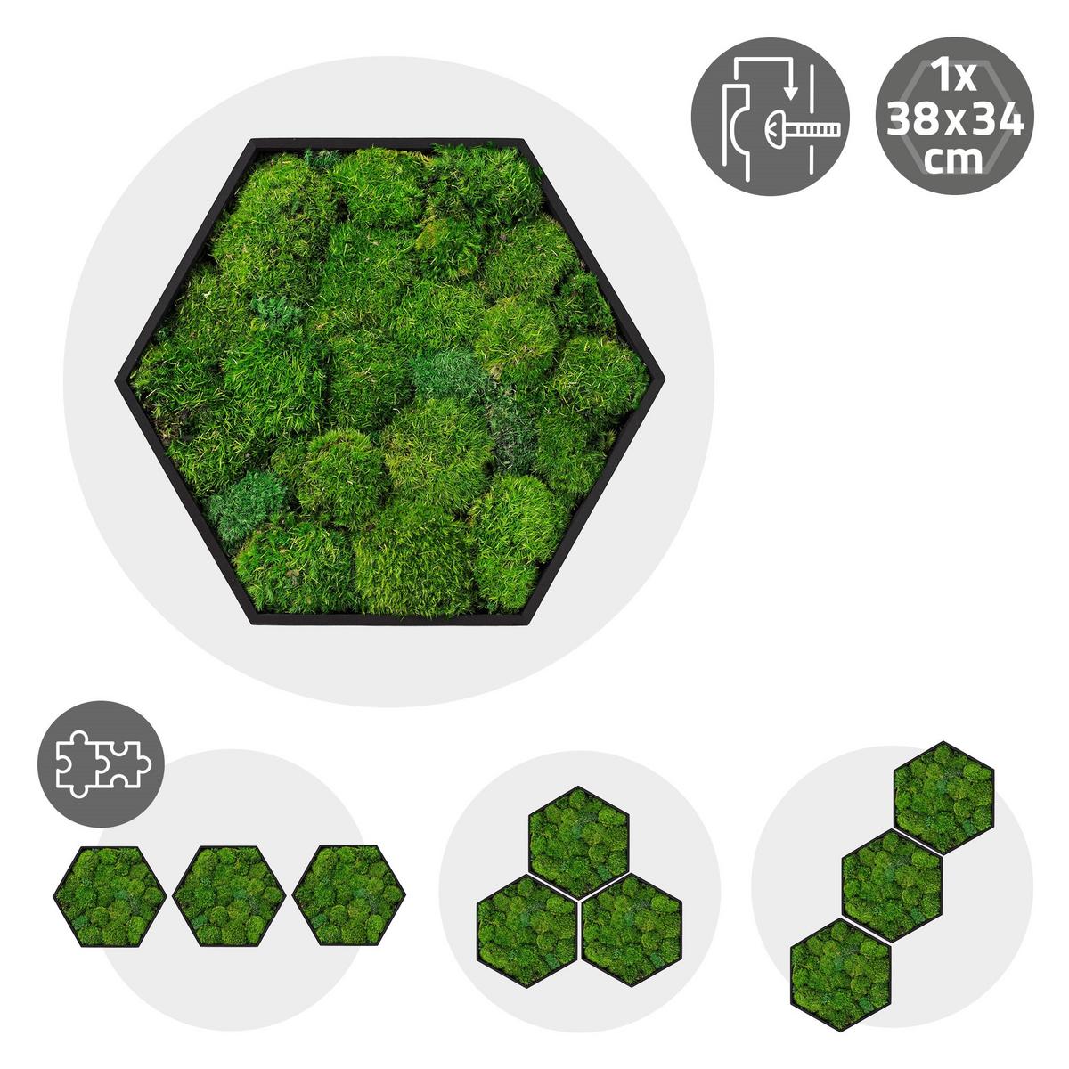 MOOSBILD Hexagon 38x34 cm Mooswand Indoor mit echtem Kugelmoos und Holzrahmen Grün Pflegefrei - Grün, Naturmaterialien (38/34/3.4cm) - ECD-Germany