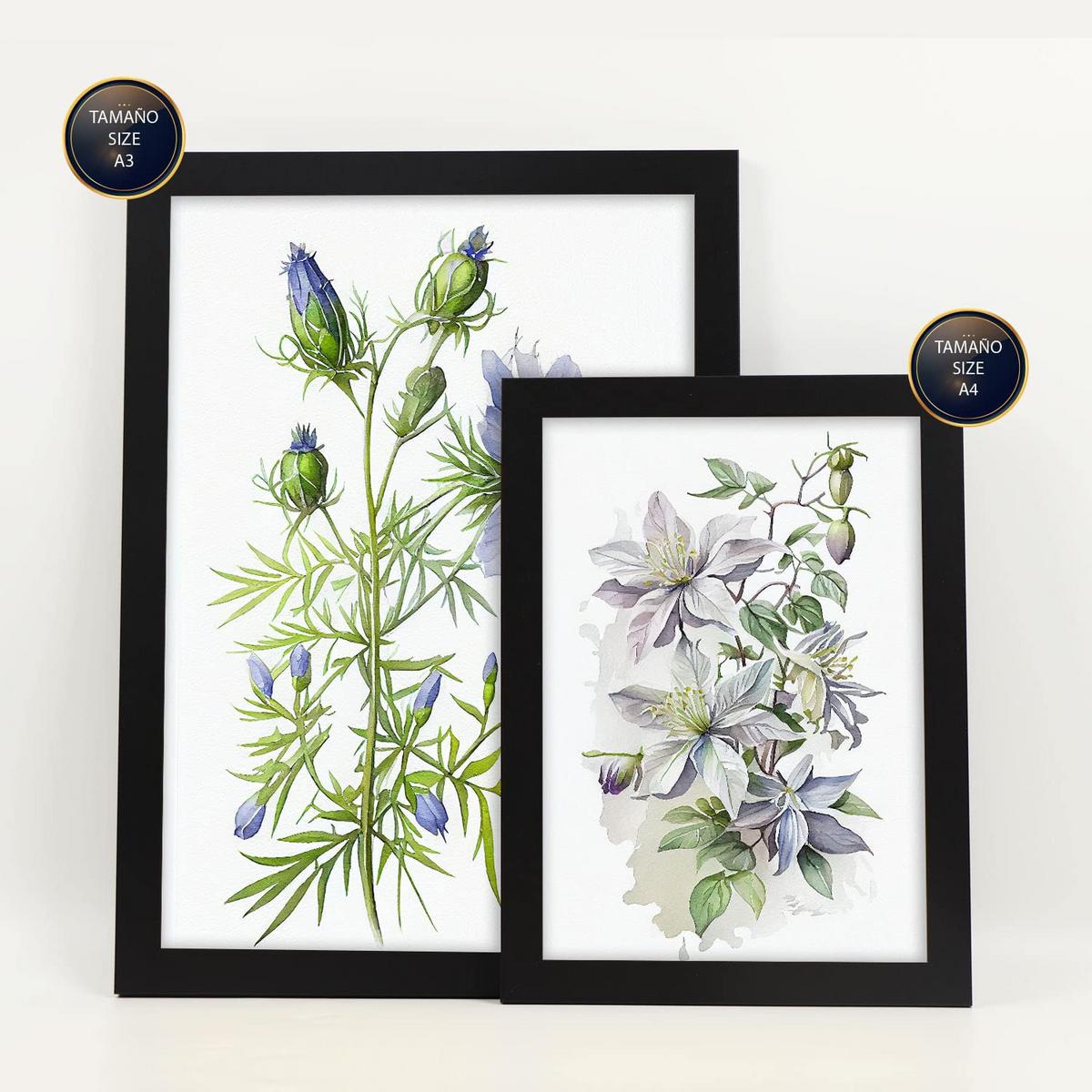 POSTER Set Mit 6 Blaue Blumen Vollfarbige Natur Und Botanikdrucke Mit Blumenmotiven Auf Reinweißen Hintergründen A3 & A4 Schwarzer Rahmen - Schwarz, Papier (29/3cm) - Nacnic