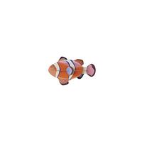 WANDSKULPTUR Bunt 4,5/9 cm - Multicolor, Wellpappe (4.5/9/14cm) - Studio Roof