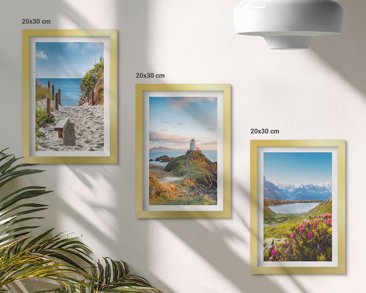 BILDER SET 3er Set - 20x30 cm Goldrahmen - Strand, Leuchtturm, Berge, Blumen - Goldfarben, Kunststoff (20/30cm) - TULUP