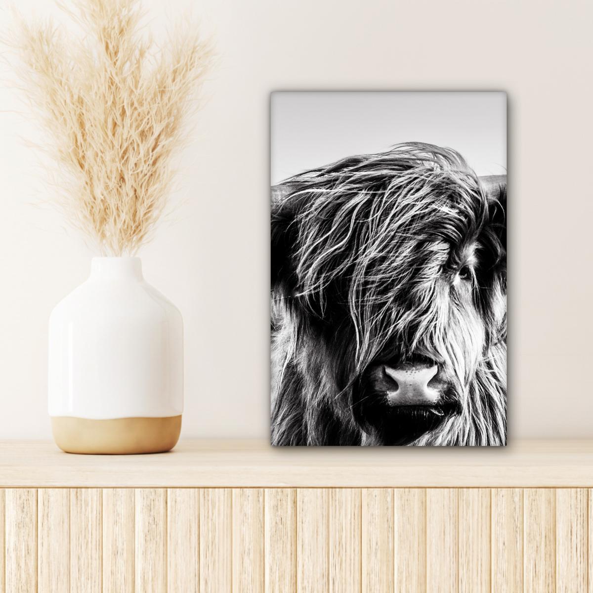 LEINWANDBILD Kuh - Schottischer Hochländer - Schwarz - Weiß - Tier - Natur - Wildtiere Deko Wohnzimmer 20x30 cm - Schwarz, Textil (20/30cm) - MuchoWow