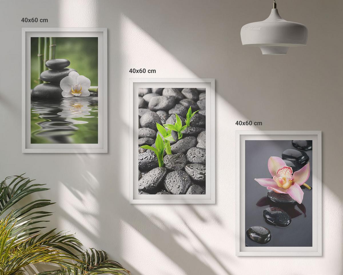 BILDER SET 3er Set - 40x60 cm Weißer Rahmen - Eine ruhige Zen-Komposition aus Blumen und Wasser - Weiß, Kunststoff (40/60cm) - TULUP