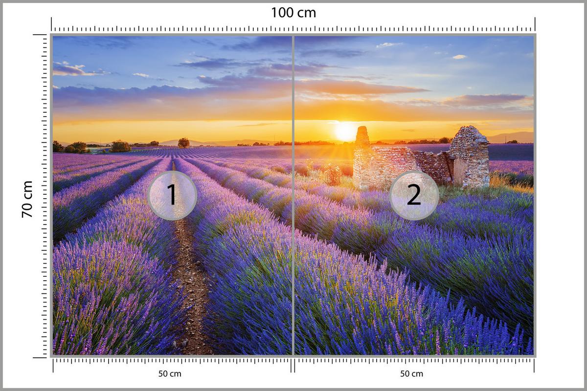 FOTOTAPETE für Wohnzimmer Lavendelfeld Sonnenuntergang Lila 100x70 - Violett/Rosa, Papier (100/70cm) - Muralo